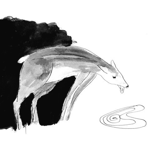 Illustraties De Eerste Dag 2